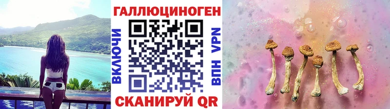 даркнет сайт  Сенгилей  Псилоцибиновые грибы GOLDEN TEACHER 