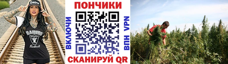 наркошоп  Сенгилей  Каннабис THC 21% 